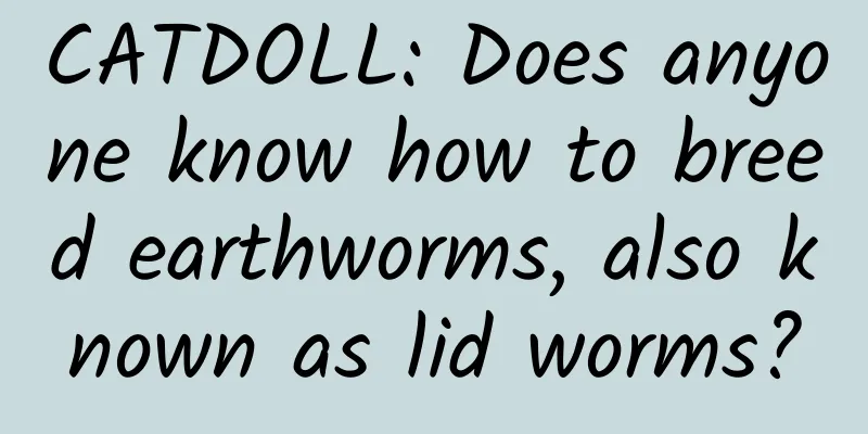 CATDOLL: Does anyone know how to breed earthworms, also known as lid worms?