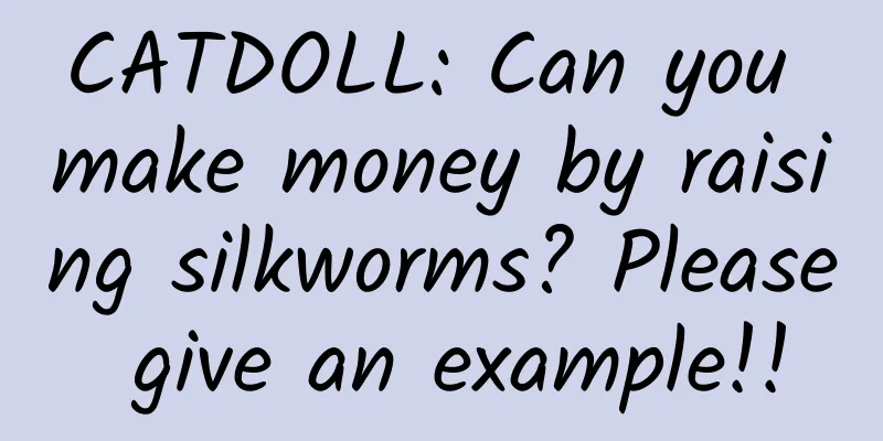 CATDOLL: Can you make money by raising silkworms? Please give an example!!