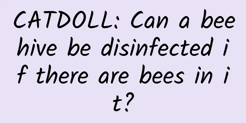 CATDOLL: Can a beehive be disinfected if there are bees in it?