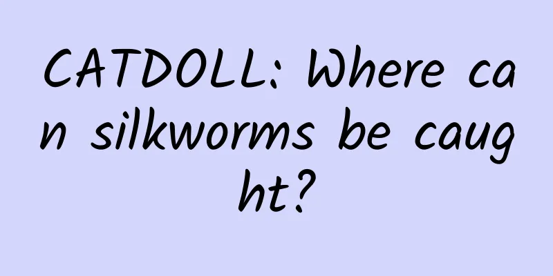CATDOLL: Where can silkworms be caught?