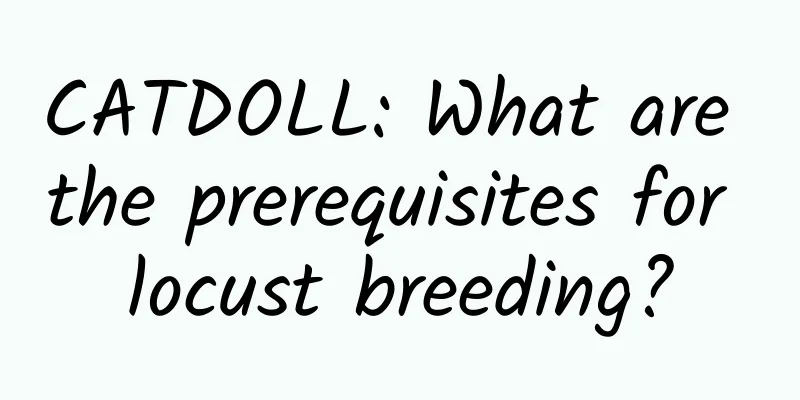CATDOLL: What are the prerequisites for locust breeding?