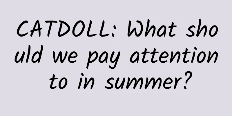 CATDOLL: What should we pay attention to in summer?