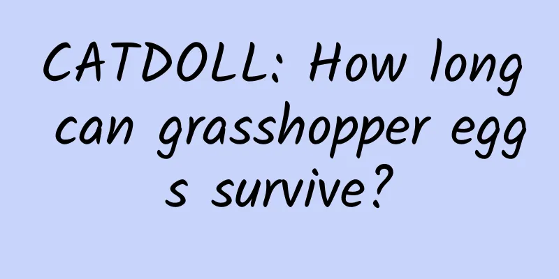CATDOLL: How long can grasshopper eggs survive?