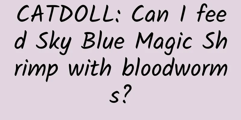 CATDOLL: Can I feed Sky Blue Magic Shrimp with bloodworms?