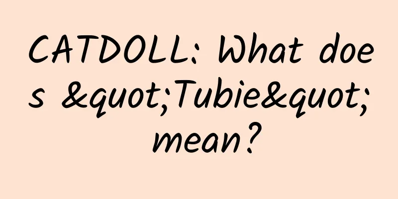 CATDOLL: What does "Tubie" mean?