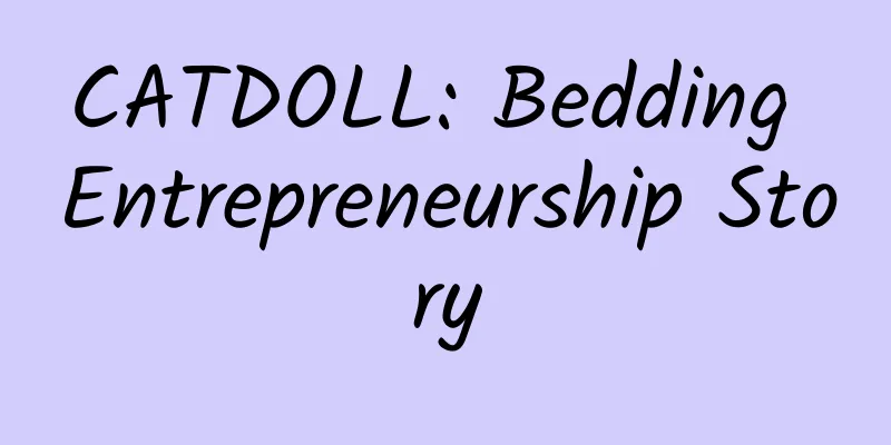 CATDOLL: Bedding Entrepreneurship Story