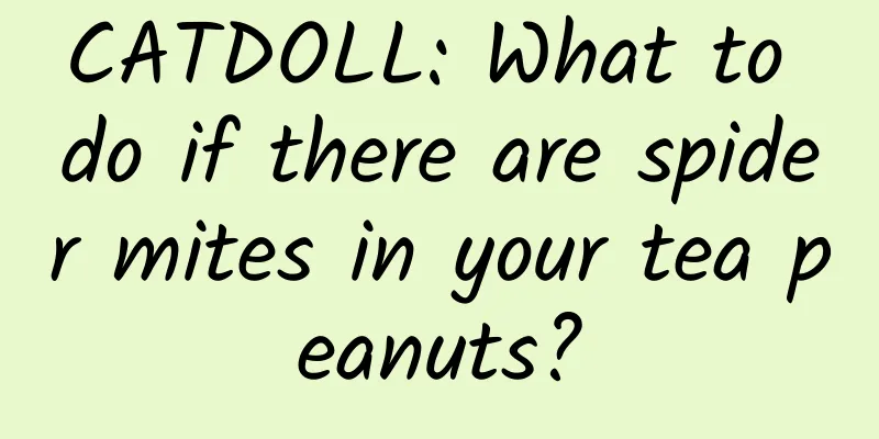 CATDOLL: What to do if there are spider mites in your tea peanuts?