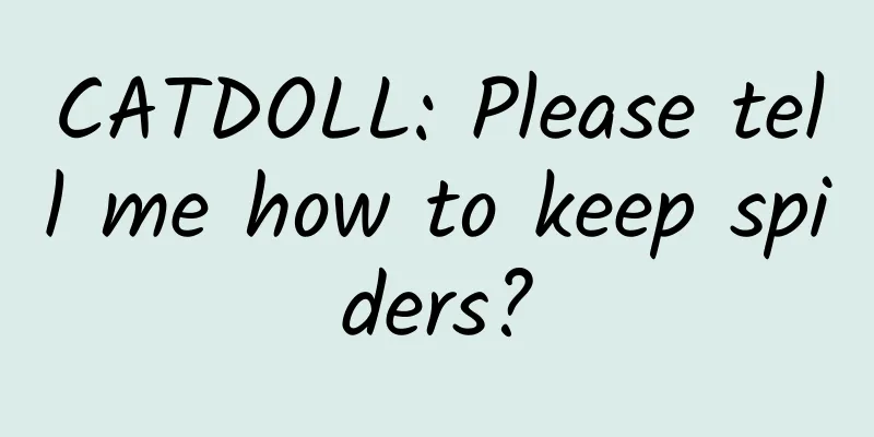 CATDOLL: Please tell me how to keep spiders?