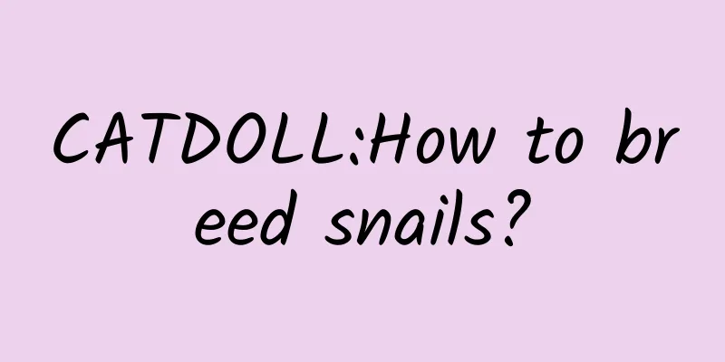 CATDOLL:How to breed snails?