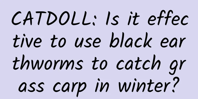 CATDOLL: Is it effective to use black earthworms to catch grass carp in winter?