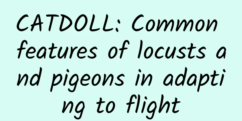 CATDOLL: Common features of locusts and pigeons in adapting to flight