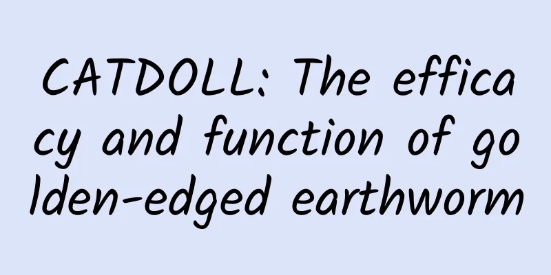 CATDOLL: The efficacy and function of golden-edged earthworm
