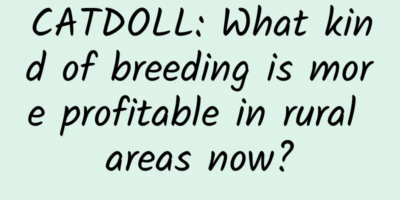 CATDOLL: What kind of breeding is more profitable in rural areas now?