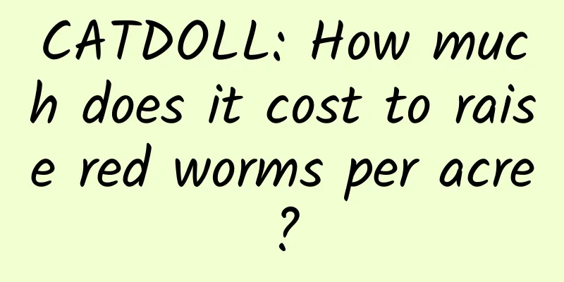 CATDOLL: How much does it cost to raise red worms per acre?