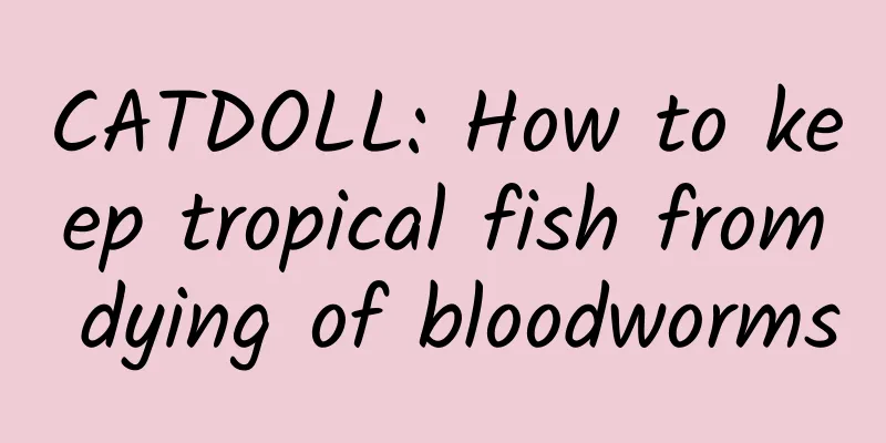 CATDOLL: How to keep tropical fish from dying of bloodworms