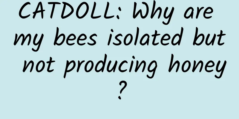 CATDOLL: Why are my bees isolated but not producing honey?