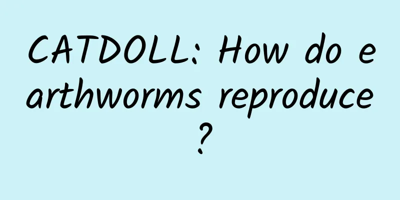 CATDOLL: How do earthworms reproduce?