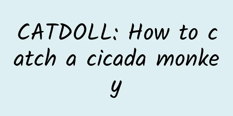 CATDOLL: How to catch a cicada monkey
