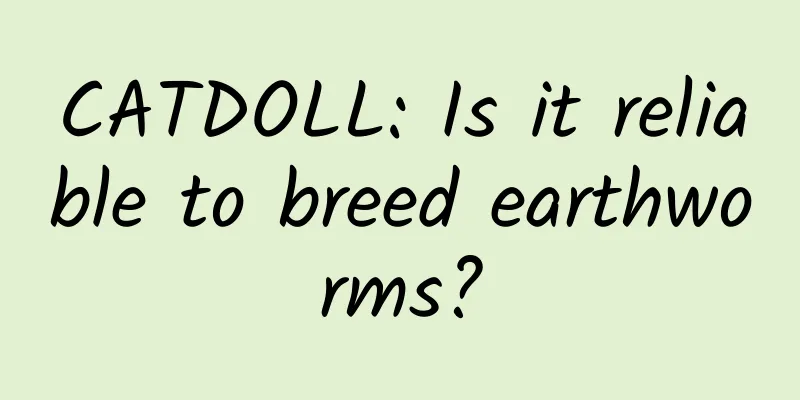 CATDOLL: Is it reliable to breed earthworms?