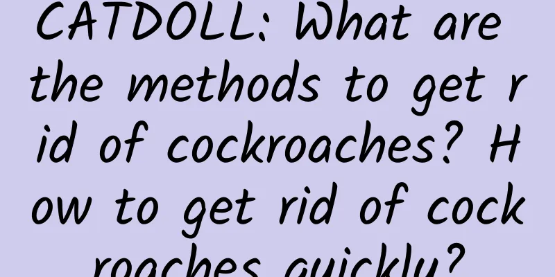 CATDOLL: What are the methods to get rid of cockroaches? How to get rid of cockroaches quickly?