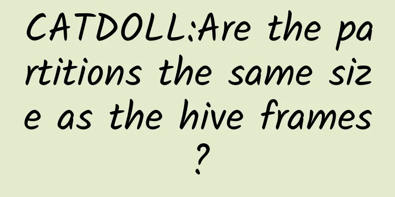CATDOLL:Are the partitions the same size as the hive frames?