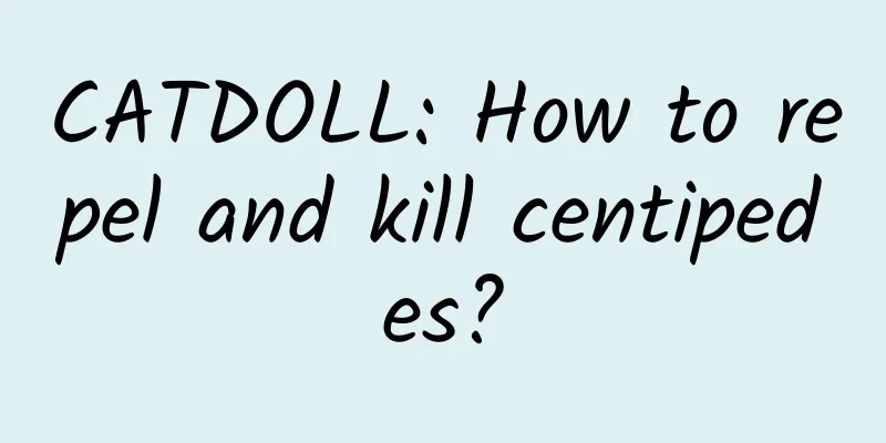 CATDOLL: How to repel and kill centipedes?