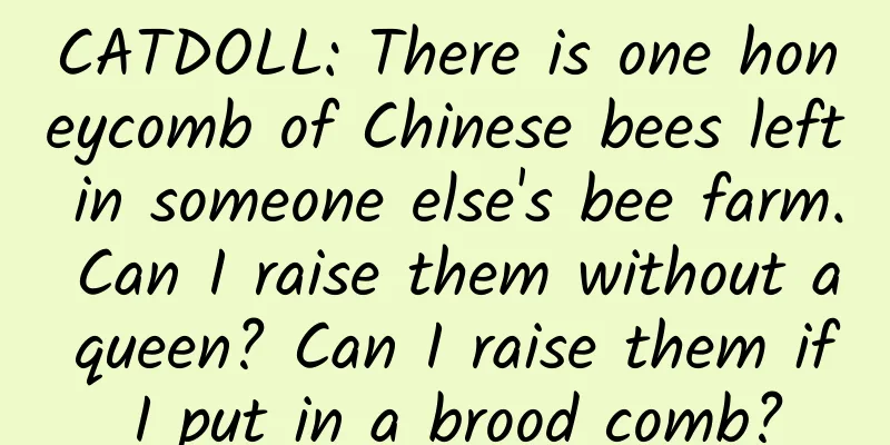 CATDOLL: There is one honeycomb of Chinese bees left in someone else's bee farm. Can I raise them without a queen? Can I raise them if I put in a brood comb?