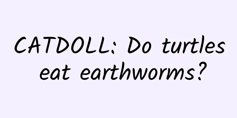 CATDOLL: Do turtles eat earthworms?