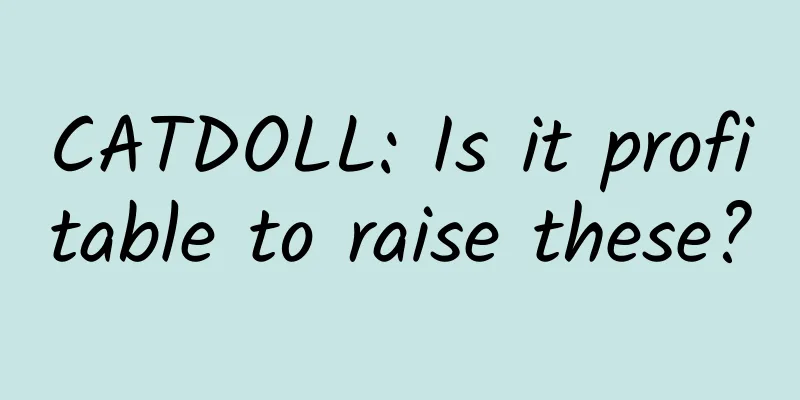 CATDOLL: Is it profitable to raise these?