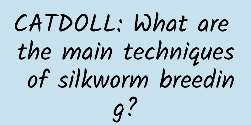CATDOLL: What are the main techniques of silkworm breeding?