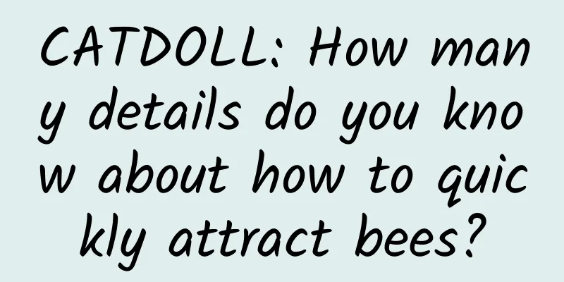 CATDOLL: How many details do you know about how to quickly attract bees?