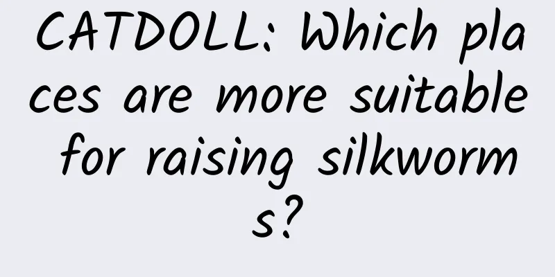 CATDOLL: Which places are more suitable for raising silkworms?