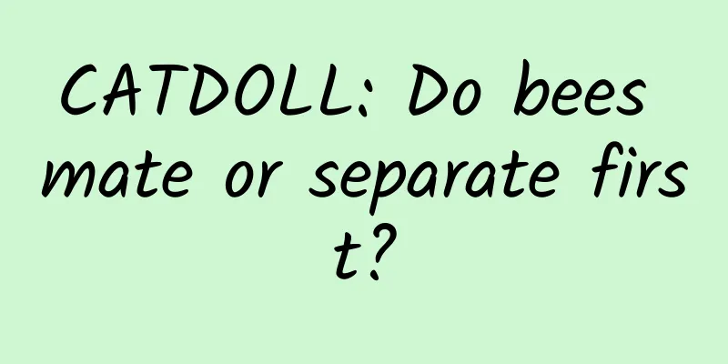 CATDOLL: Do bees mate or separate first?