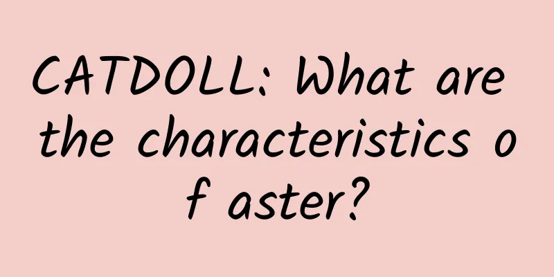 CATDOLL: What are the characteristics of aster?