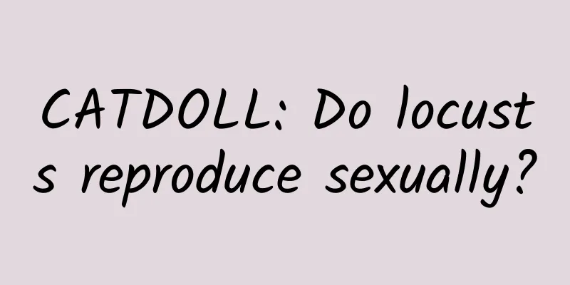 CATDOLL: Do locusts reproduce sexually?