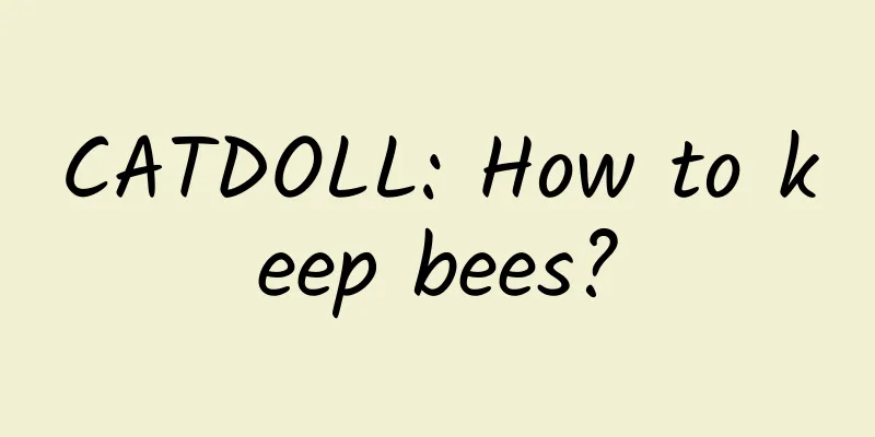 CATDOLL: How to keep bees?