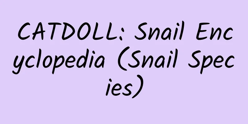 CATDOLL: Snail Encyclopedia (Snail Species)