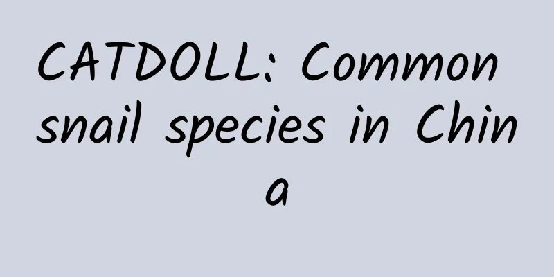 CATDOLL: Common snail species in China