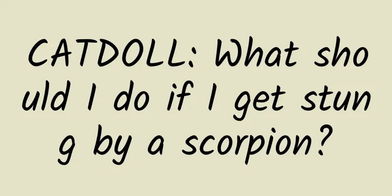 CATDOLL: What should I do if I get stung by a scorpion?