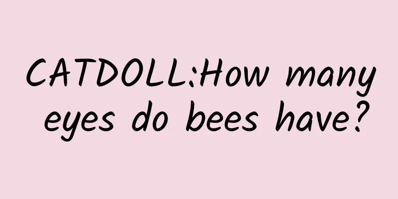 CATDOLL:How many eyes do bees have?