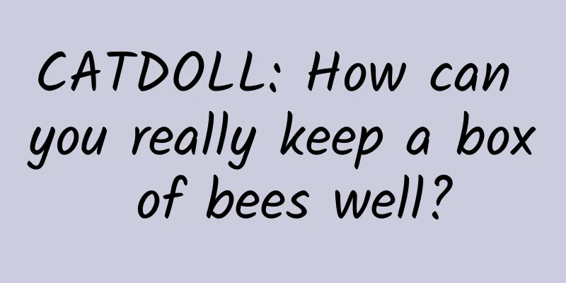 CATDOLL: How can you really keep a box of bees well?