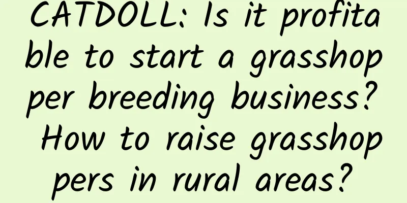 CATDOLL: Is it profitable to start a grasshopper breeding business? How to raise grasshoppers in rural areas?