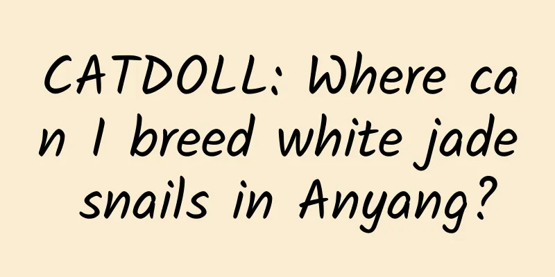 CATDOLL: Where can I breed white jade snails in Anyang?