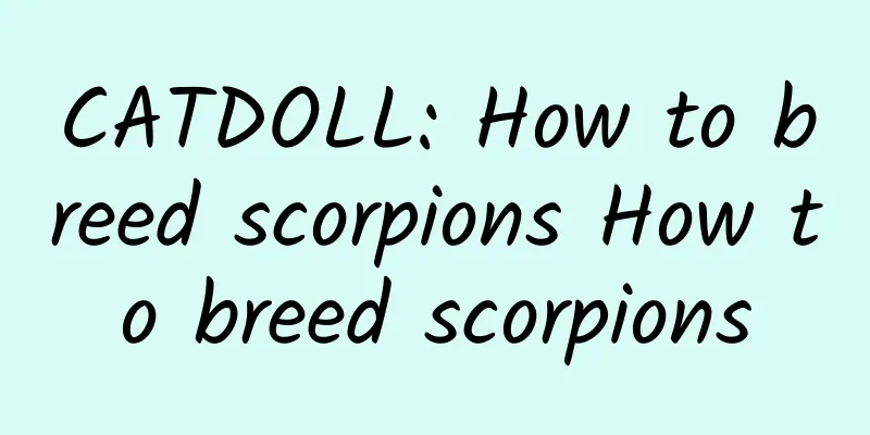 CATDOLL: How to breed scorpions How to breed scorpions