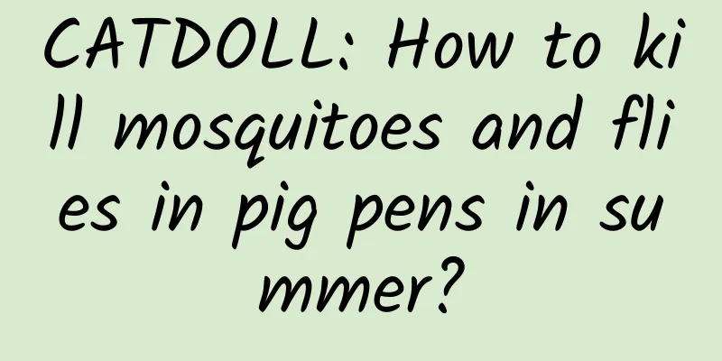 CATDOLL: How to kill mosquitoes and flies in pig pens in summer?