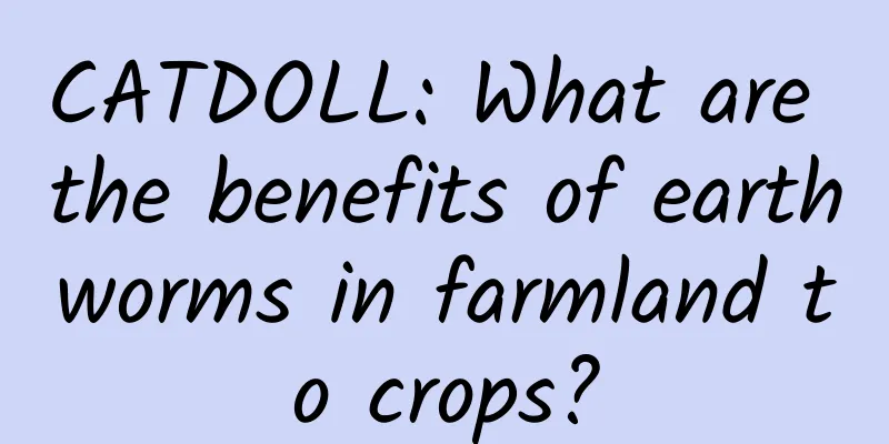 CATDOLL: What are the benefits of earthworms in farmland to crops?