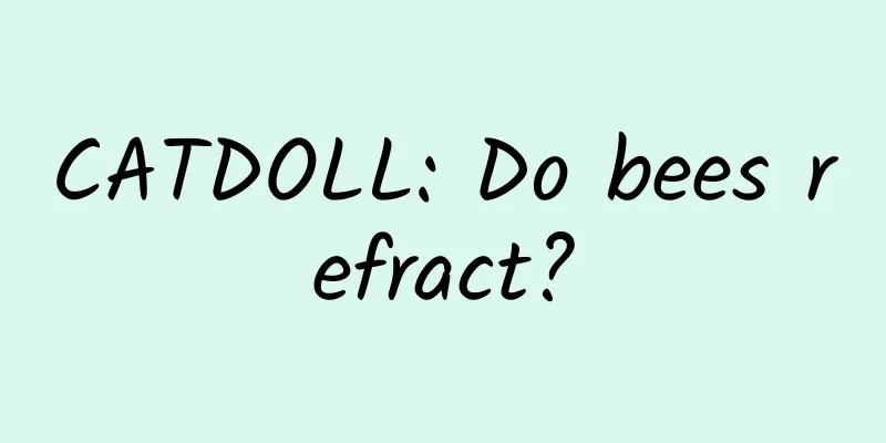 CATDOLL: Do bees refract?