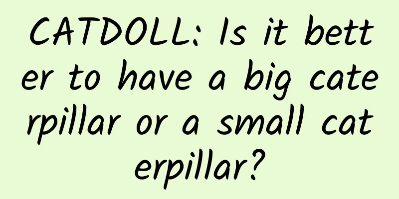 CATDOLL: Is it better to have a big caterpillar or a small caterpillar?