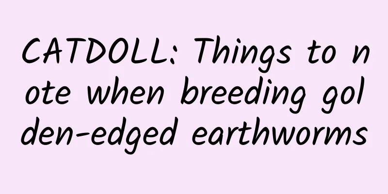 CATDOLL: Things to note when breeding golden-edged earthworms