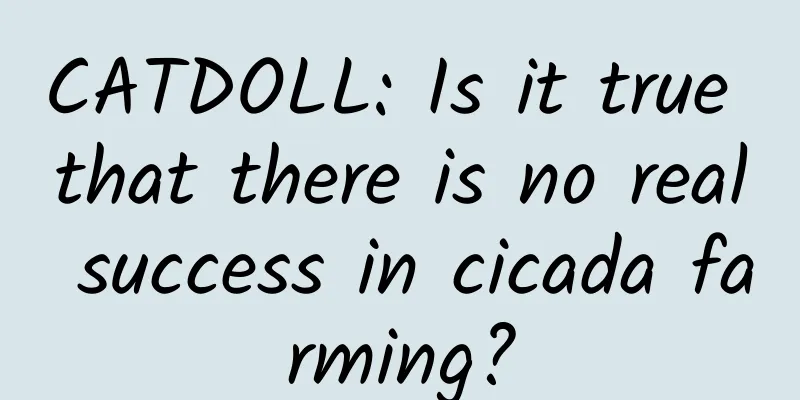 CATDOLL: Is it true that there is no real success in cicada farming?